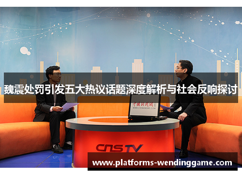 魏震处罚引发五大热议话题深度解析与社会反响探讨