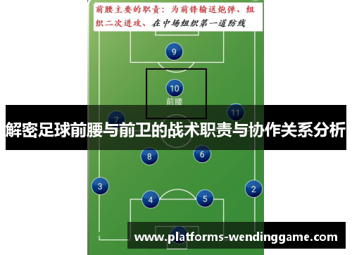 解密足球前腰与前卫的战术职责与协作关系分析
