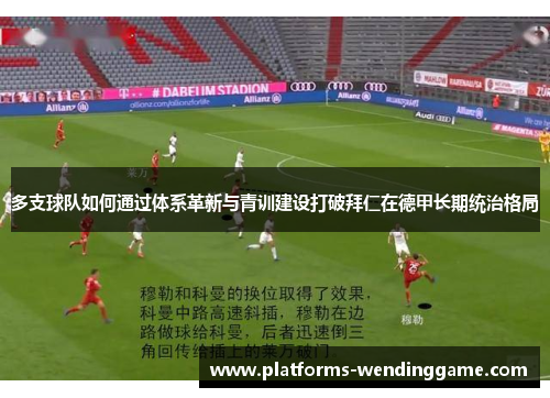 多支球队如何通过体系革新与青训建设打破拜仁在德甲长期统治格局