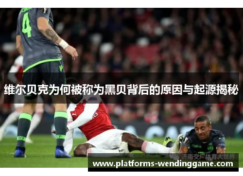 维尔贝克为何被称为黑贝背后的原因与起源揭秘