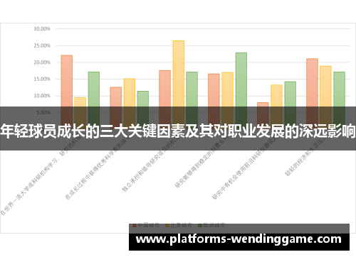 年轻球员成长的三大关键因素及其对职业发展的深远影响