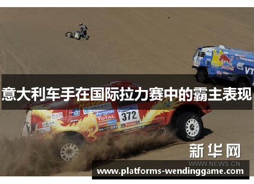 意大利车手在国际拉力赛中的霸主表现